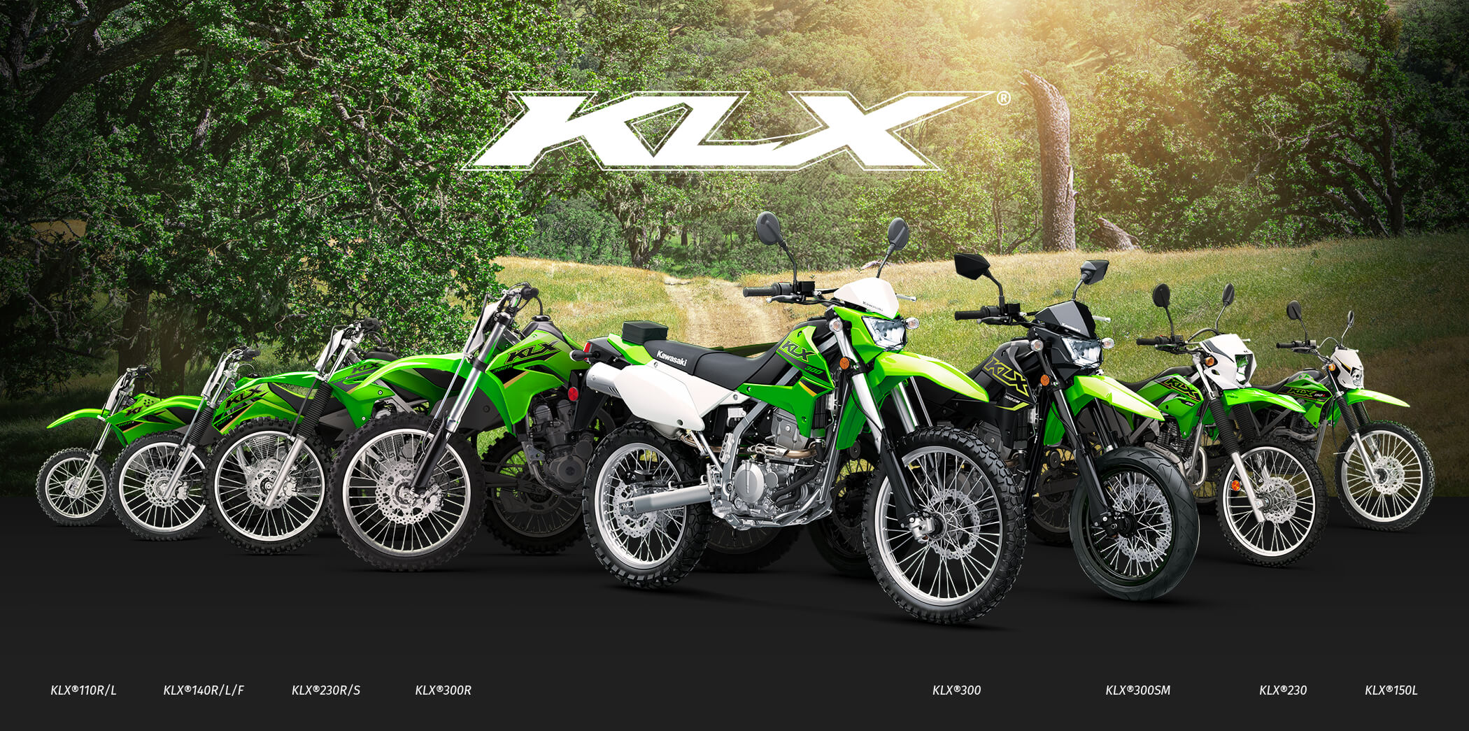 KLX FAMILY: KLX110R KLX140R KLX230R KLX300R KLX300SM KLX300 KLX250 KLX230