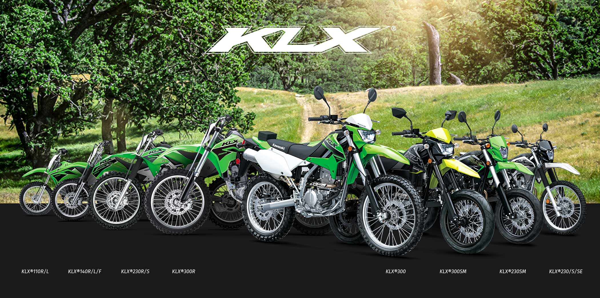 KLX FAMILY: KLX110R KLX140R KLX230R KLX300R KLX300SM KLX300 KLX250 KLX230